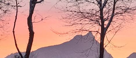 Un paisaje invernal con suelo cubierto de nieve y árboles, una montaña al fondo y un cielo al atardecer.