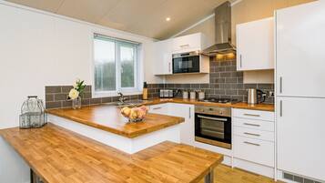 Fridge, oven, stovetop, toaster