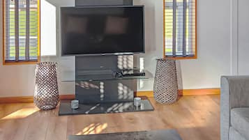 TV