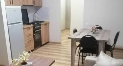 Two bedrooms apartment in Marjanishvili st. 16