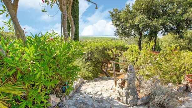 Un sentier de pierres serpente à travers un jardin luxuriant, où poussent différentes espèces de plantes et d’arbres.