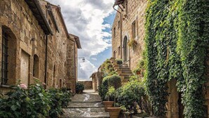 Une ruelle étroite pavée, bordée de bâtiments historiques en pierre aux murs recouverts de lierre, et un ciel dégagé au-dessus.