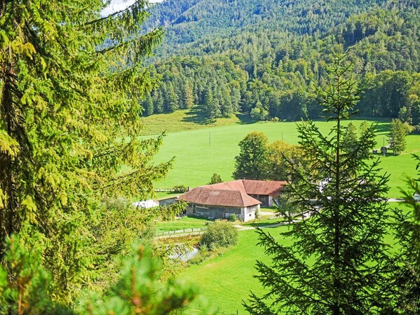 A rural house with a red roof, surrounded by a green field and dense forest.