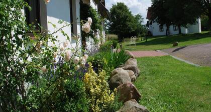 Landhaus mit Schwimmbad in Dargun