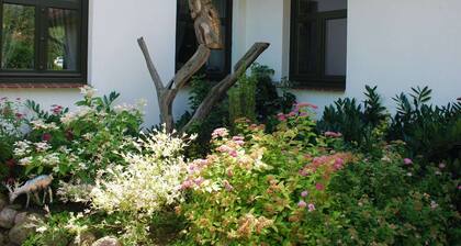 Landhaus mit Schwimmbad in Dargun