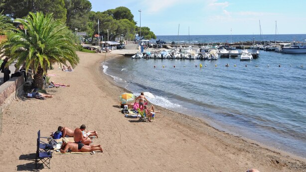 A beach with people sunbathing, a palm tree, and boats docked at a pier.