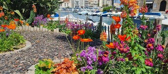 Villa in Castelnau d'Aude with Heated Pool