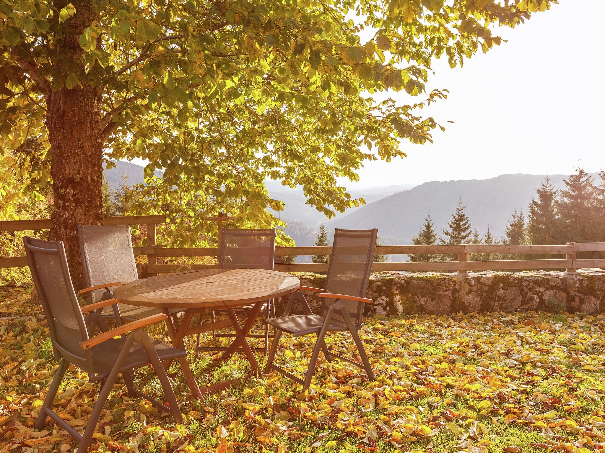A wooden table and chairs under a tree with a view of a mountain range.