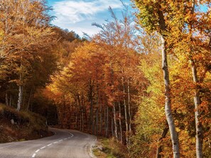 A winding road through a forest with autumn foliage. - Charming Farmhouse in Cros-de-Géorand (Cros-De-Géorand)