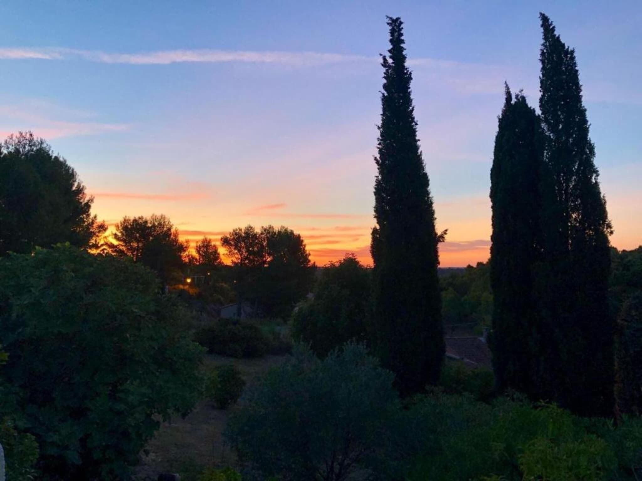 Une vue au coucher du soleil, avec de grands cyprès et une végétation dense.