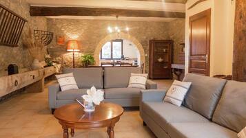 Télévision, cheminée, lecteur de DVD