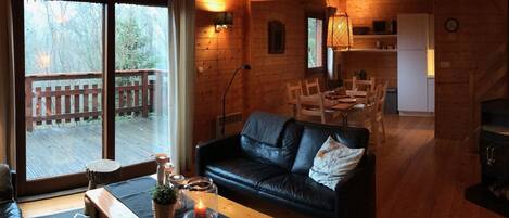 Chimenea, reproductor de DVD