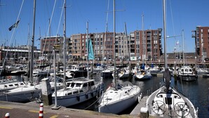 Un puerto deportivo con varias embarcaciones amarradas, rodeado de edificios.