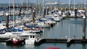 Un puerto deportivo con numerosos barcos amarrados al muelle.