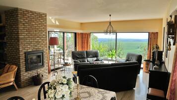 TV, fireplace, DVD player