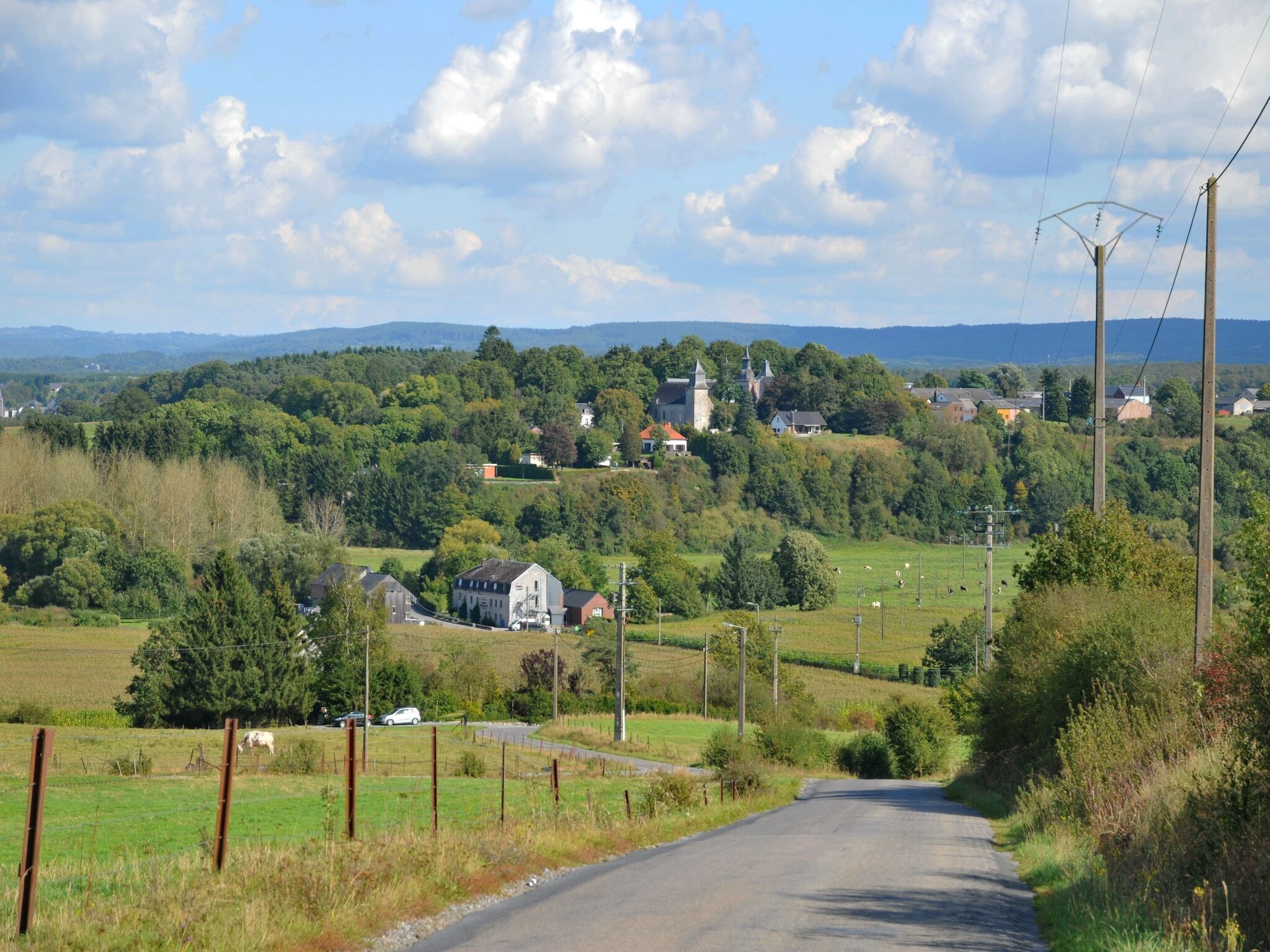 A rural road leading to a village with houses and a church.