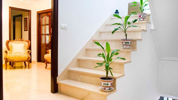 Un escalier agrémenté de plantes en pot, un lustre et une chaise dans un couloir bien éclairé.