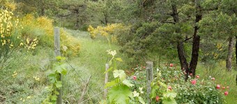 Retiro con vista a la montaña, Diois