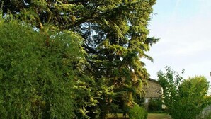 Un chemin de gravier mène à un bâtiment en pierre, entouré d’une végétation luxuriante.