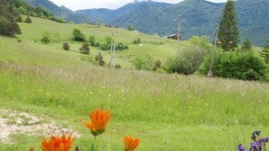 Paesaggio rurale con un prato erboso, alcuni alberi e montagne sullo sfondo.