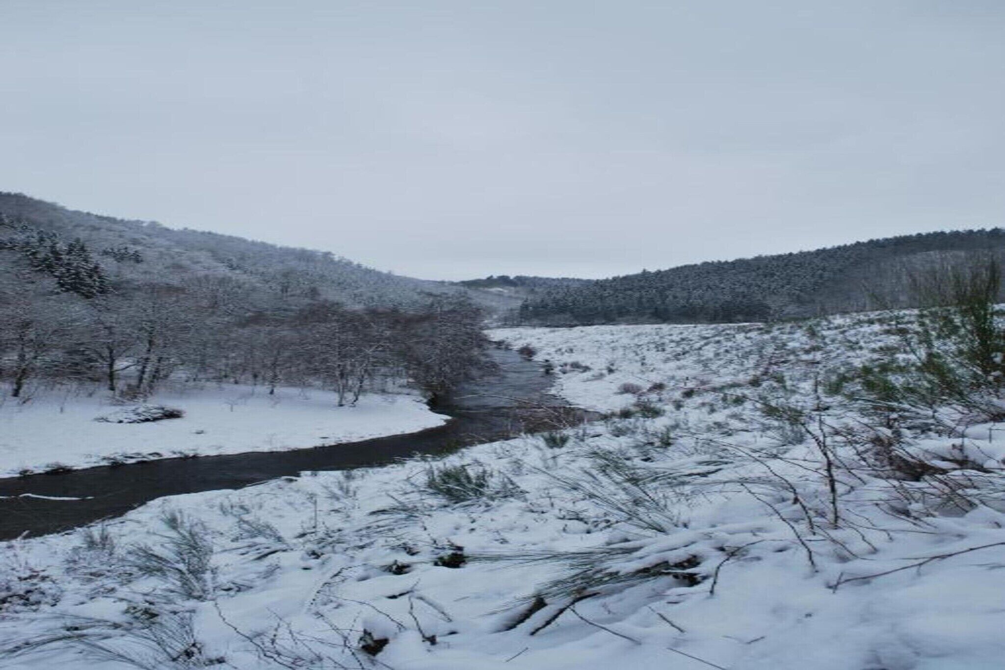 Un paisaje nevado con un río, árboles y colinas.