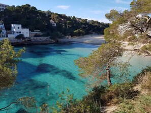 Playa en los alrededores y camastros 