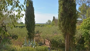 A garden with tall cypress trees, dense shrubbery, and a clear blue sky. - Mediterranean Garden Retreat (Vergèze)