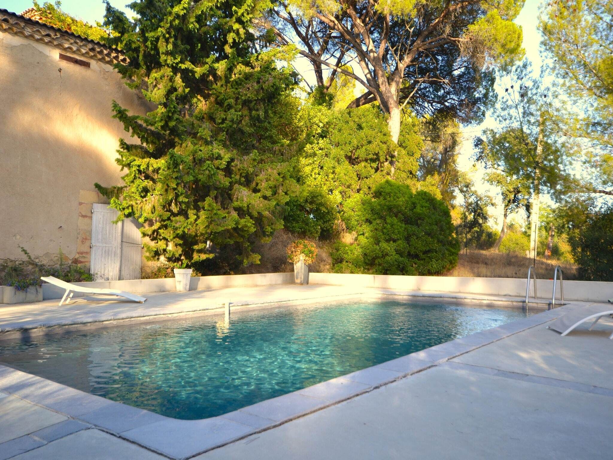 Une piscine à l’eau claire, entourée d’arbres et bordée d’une terrasse en béton.