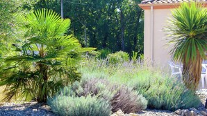 A garden with various plants, a pile of rocks, and a building in the background. - Panoramic Poolside Villa (La Croix-Blanche)