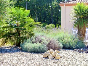 المنطقة المحيطة بالمنشأة