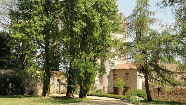 Um pátio com parede de pedra, uma árvore grande e um edifício com telhado de telhas.