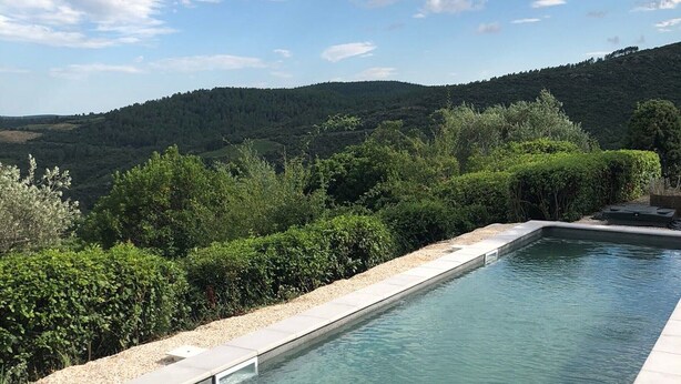 Une piscine rectangulaire à l’eau claire, bordée de galets et entourée d’une végétation luxuriante.