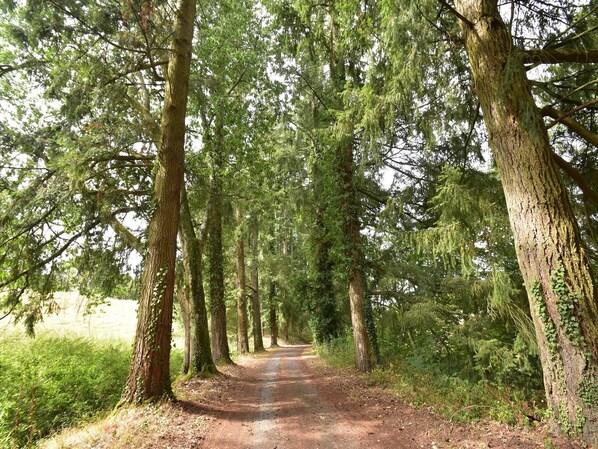 Niet-geclassificeerde afbeelding, 1 van 39, knop