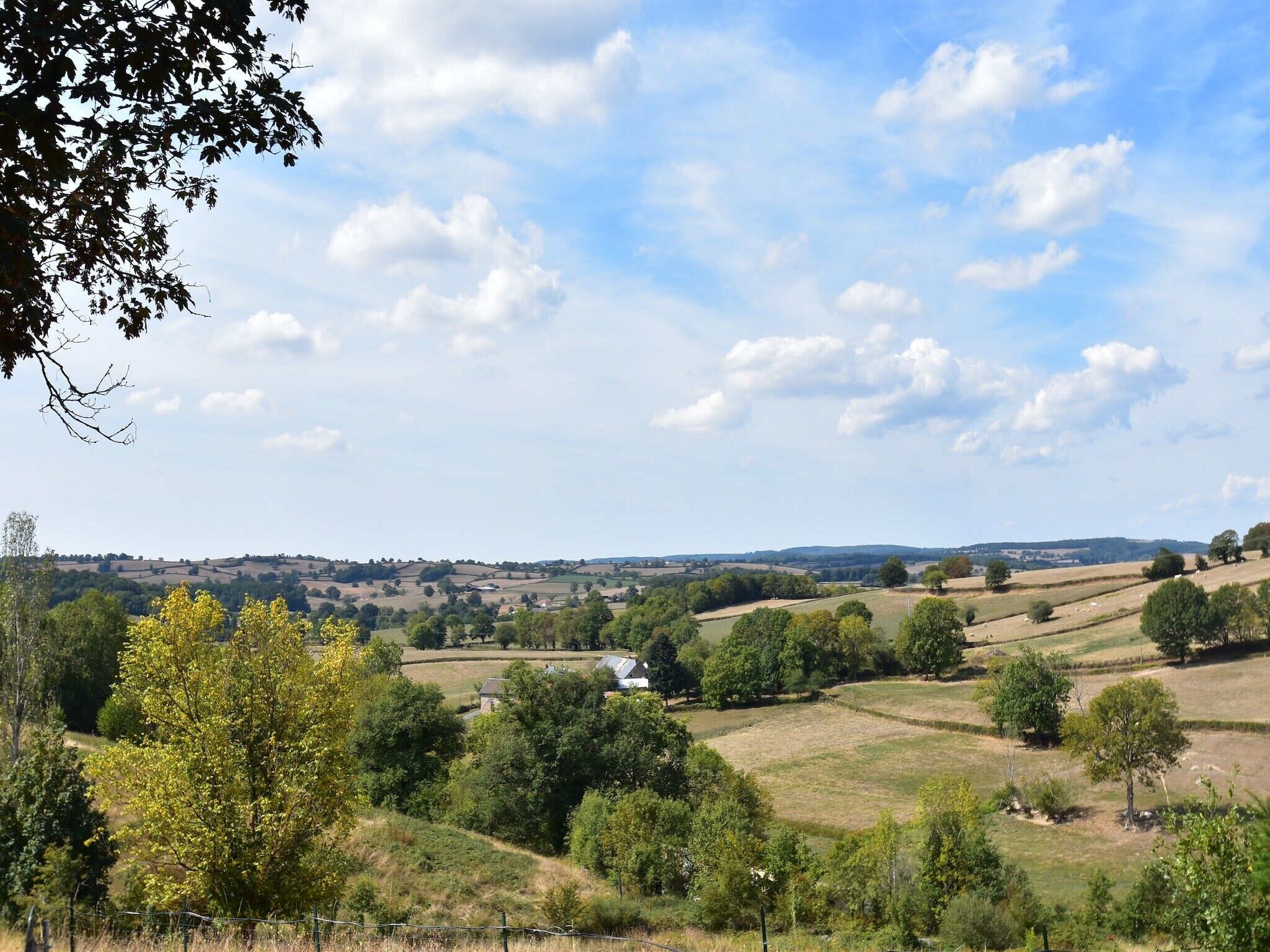 Un paysage rural caractérisé par des collines douces, des arbres dispersés et quelques bâtiments.