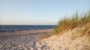 Ein Sandstrand mit Dünen und dem Meer im Hintergrund.