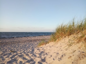A sandy beach with dunes and the ocean in the background. - Charmantes Küstendomizil mit Garten in Zierow (Zierow)