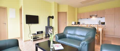 TV, fireplace, DVD player