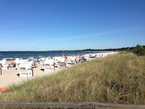 Beach nearby - Salzhaff Family Retreat (Pepelow Mecklenburg)