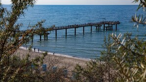 Een steiger die zich uitstrekt over kalm water, omringd door strand en begroeiing.