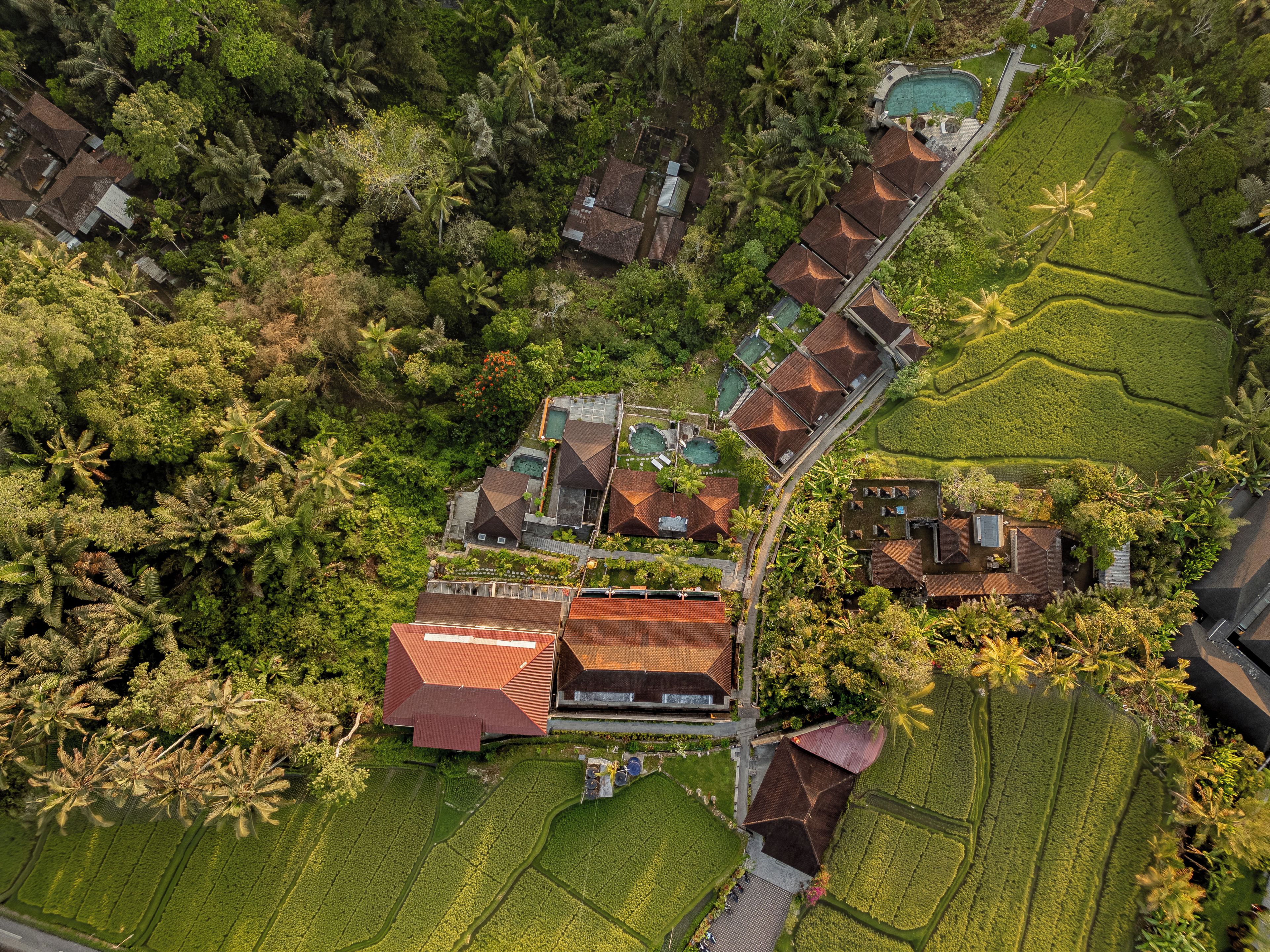 An aerial view of a resort with multiple buildings, a swimming pool, and terraced fields.