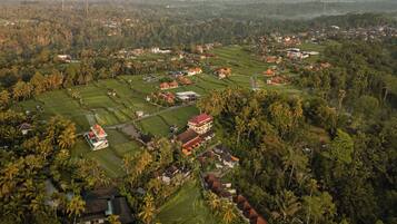 An aerial view of a rural area with scattered houses, green fields, and a mountain in the background.