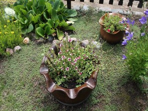 Property grounds - Wohnung mit eigener Terrasse in Wismar (Wismar)