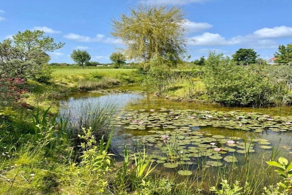 Àrea exterior de l'allotjament