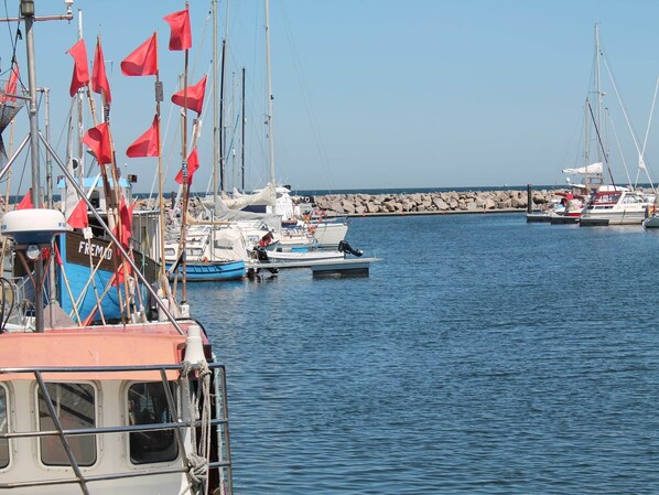 Marina