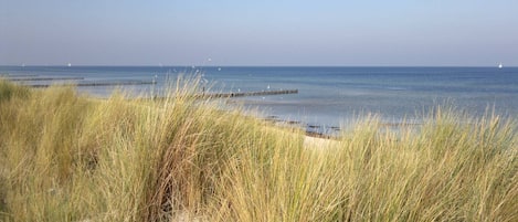 In Strandnähe