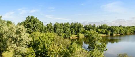 Un parc avec un lac, des arbres et un sentier pédestre.