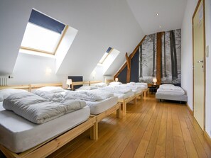 9 bedrooms, WiFi - Group accommodation for families in Houyet (Houyet)