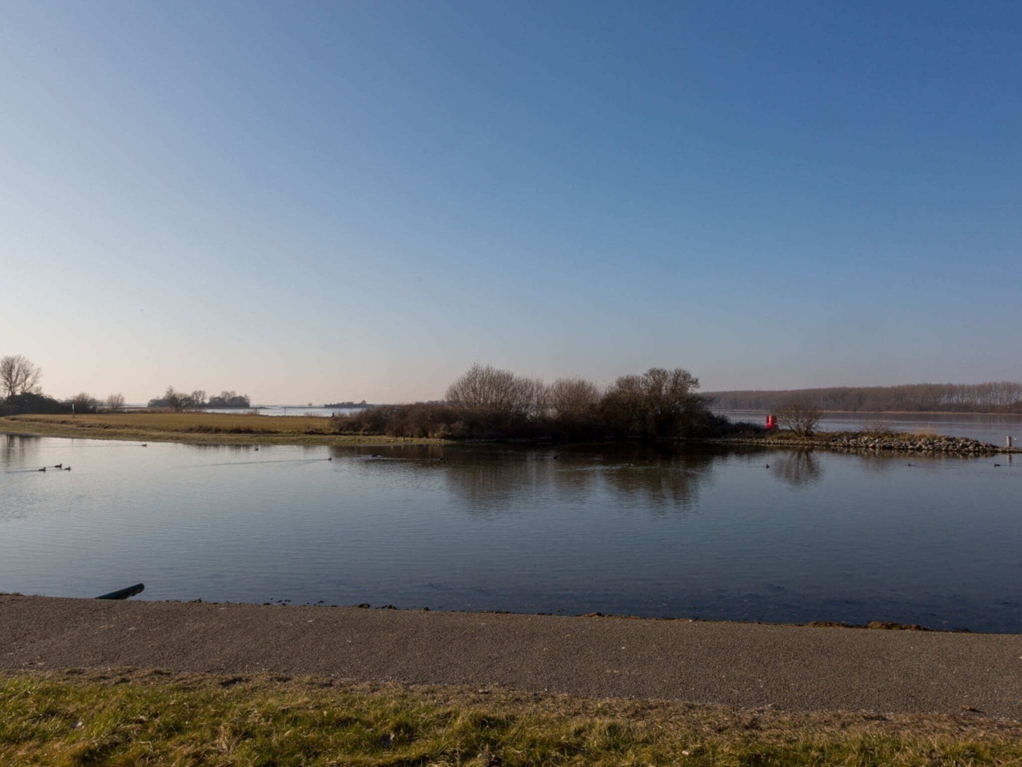 Un lac paisible aux eaux claires, sous un ciel dégagé, entouré de prairies et d’arbres.