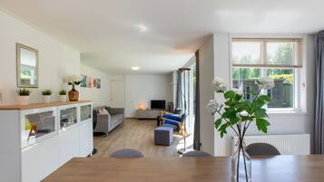 Televisión y chimenea