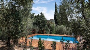 Piscina rectangular con muelle de madera, rodeada de olivos y otra vegetación.